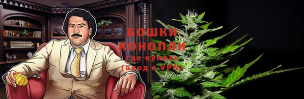 дживик Верея