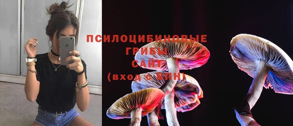 каннабис Сосновый Бор