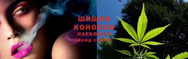 сатива Волоколамск