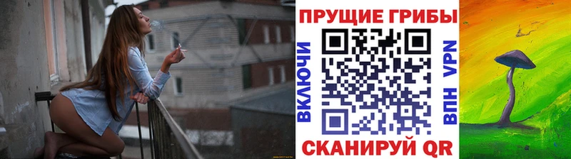 Галлюциногенные грибы MAGIC MUSHROOMS  kraken онион  Пудож 
