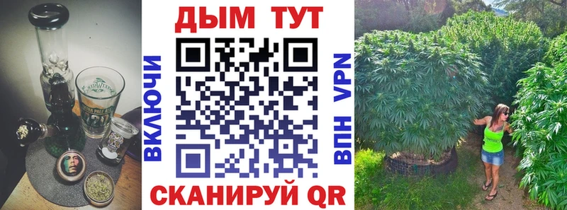shop телеграм  Пудож  Конопля SATIVA & INDICA  кракен рабочий сайт 